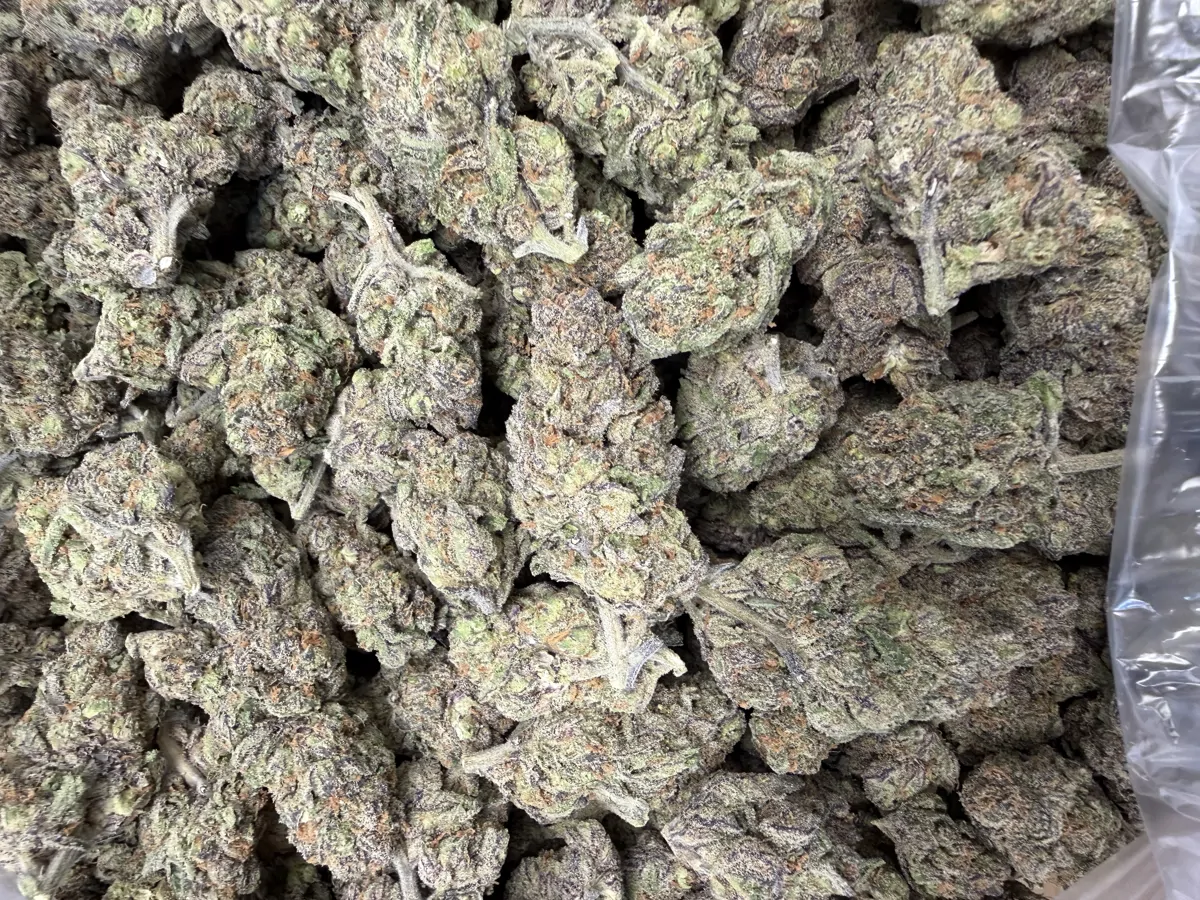 Gushers Flower